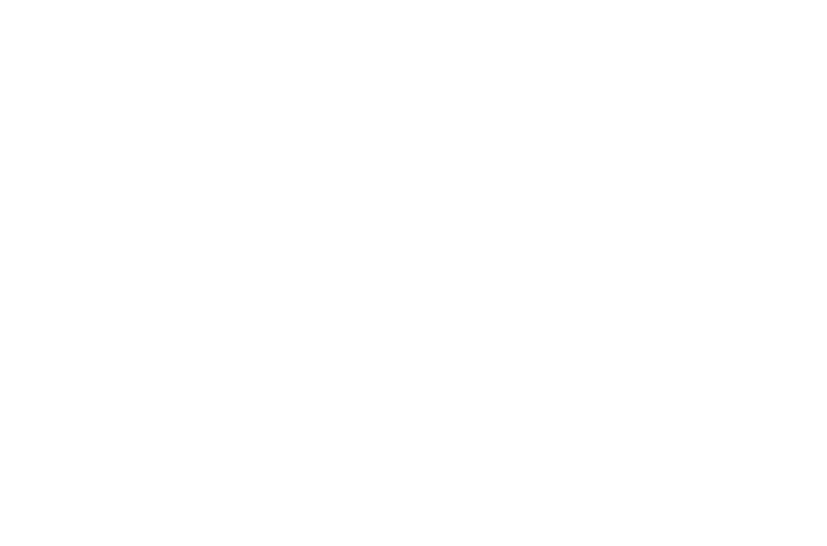 Global Connectivity Services